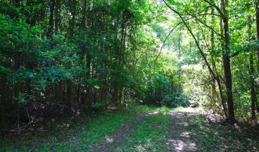 Photo of REDUCED!  443.3 Acres of Farm and Timber Land For Sale In Pamlico County NC!