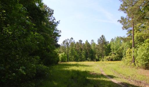 Photo of REDUCED!  443.3 Acres of Farm and Timber Land For Sale In Pamlico County NC!