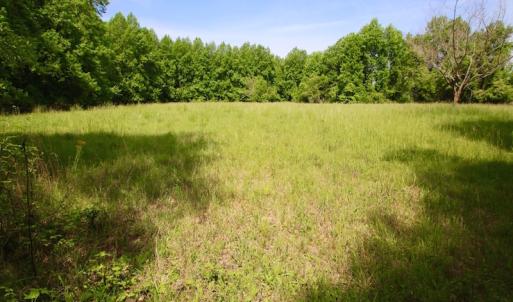 Photo of REDUCED!  443.3 Acres of Farm and Timber Land For Sale In Pamlico County NC!
