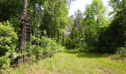 Photo of REDUCED!  443.3 Acres of Farm and Timber Land For Sale In Pamlico County NC!
