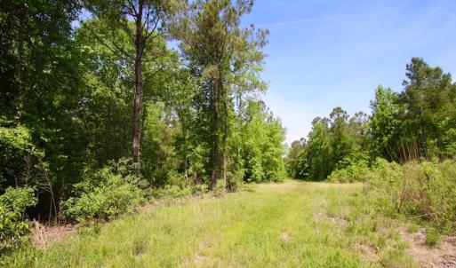 Photo of REDUCED!  443.3 Acres of Farm and Timber Land For Sale In Pamlico County NC!