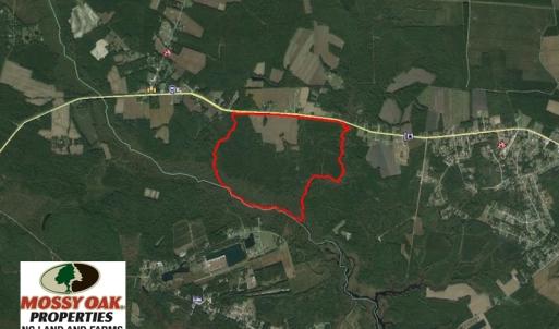 Photo of REDUCED!  443.3 Acres of Farm and Timber Land For Sale In Pamlico County NC!