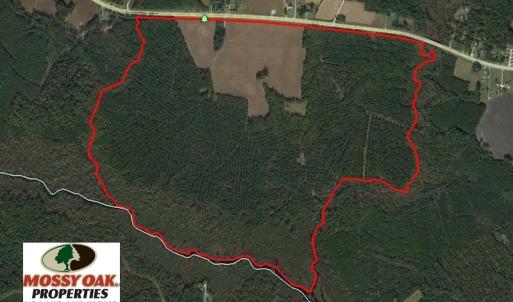 Photo of REDUCED!  443.3 Acres of Farm and Timber Land For Sale In Pamlico County NC!