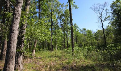 Photo of UNDER CONTRACT!  .56 acres of Waterview Lot For Sale in Bertie County NC!