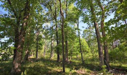 Photo of UNDER CONTRACT!  .56 acres of Waterview Lot For Sale in Bertie County NC!
