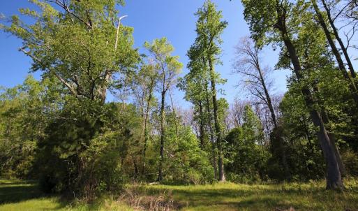 Photo of UNDER CONTRACT!  .56 acres of Waterview Lot For Sale in Bertie County NC!
