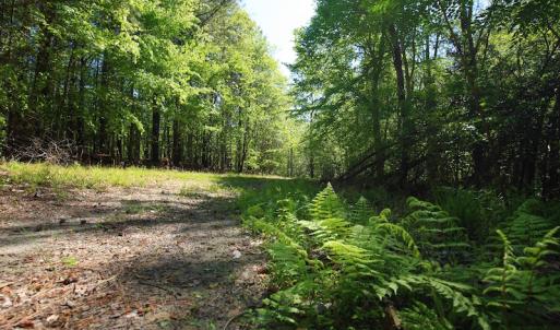 Photo of UNDER CONTRACT!  .56 acres of Waterview Lot For Sale in Bertie County NC!