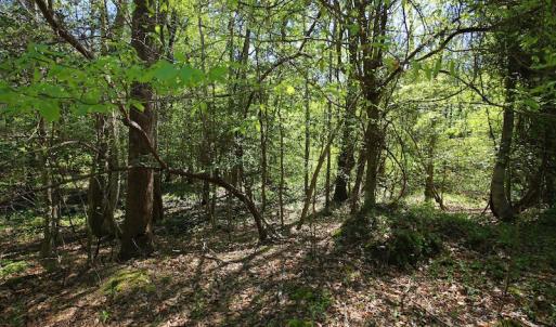 Photo of UNDER CONTRACT!  .56 acres of Waterview Lot For Sale in Bertie County NC!