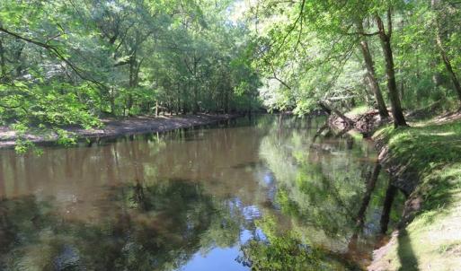Photo of SOLD  93 Acres of Hunting Land For Sale in Bladen County NC!