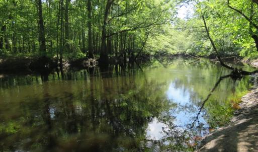Photo of SOLD  93 Acres of Hunting Land For Sale in Bladen County NC!