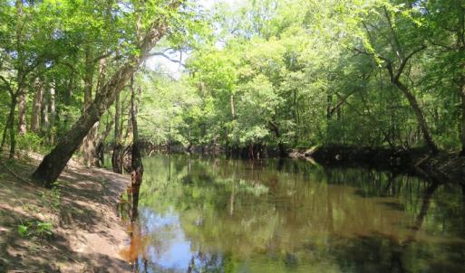 Photo of SOLD  93 Acres of Hunting Land For Sale in Bladen County NC!