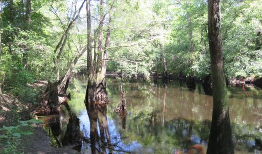 Photo of SOLD  93 Acres of Hunting Land For Sale in Bladen County NC!