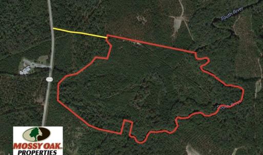 Photo of SOLD  93 Acres of Hunting Land For Sale in Bladen County NC!
