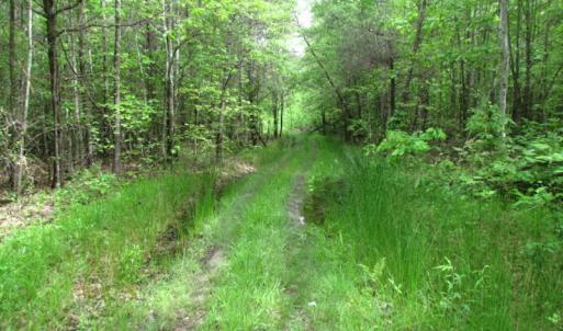 Photo of UNDER CONTRACT!  665 Acres of Hunting and Investment Land For Sale in Fluvanna County VA!