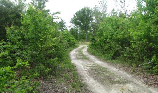 Photo of UNDER CONTRACT!  665 Acres of Hunting and Investment Land For Sale in Fluvanna County VA!