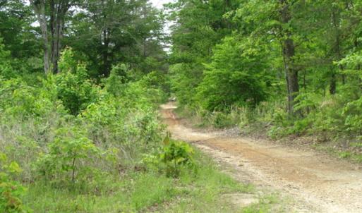 Photo of UNDER CONTRACT!  665 Acres of Hunting and Investment Land For Sale in Fluvanna County VA!