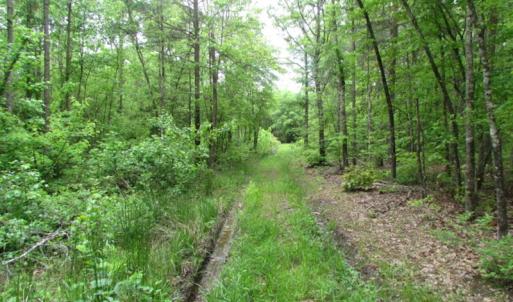 Photo of UNDER CONTRACT!  665 Acres of Hunting and Investment Land For Sale in Fluvanna County VA!
