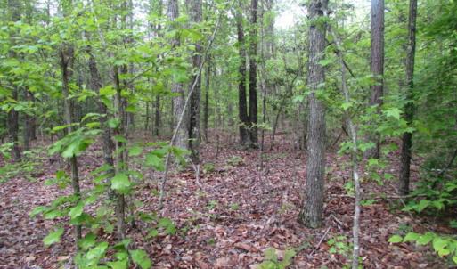 Photo of UNDER CONTRACT!  665 Acres of Hunting and Investment Land For Sale in Fluvanna County VA!