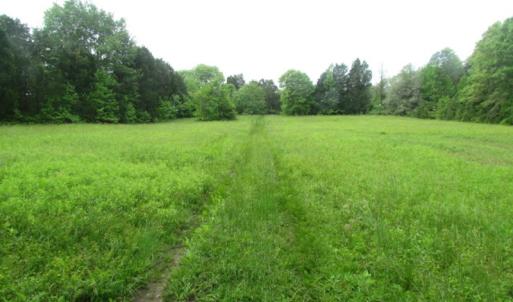 Photo of UNDER CONTRACT!  665 Acres of Hunting and Investment Land For Sale in Fluvanna County VA!