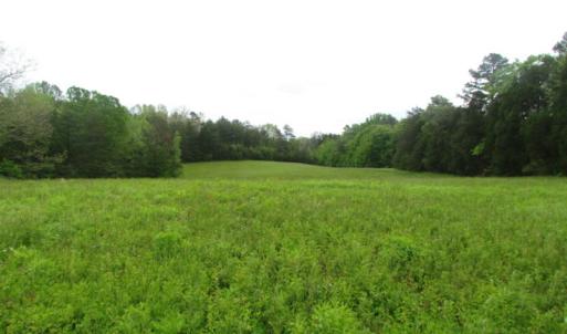 Photo of UNDER CONTRACT!  665 Acres of Hunting and Investment Land For Sale in Fluvanna County VA!