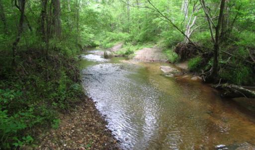 Photo of UNDER CONTRACT!  665 Acres of Hunting and Investment Land For Sale in Fluvanna County VA!