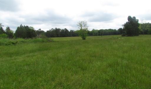 Photo of UNDER CONTRACT!  665 Acres of Hunting and Investment Land For Sale in Fluvanna County VA!