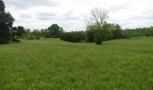 Photo of UNDER CONTRACT!  665 Acres of Hunting and Investment Land For Sale in Fluvanna County VA!
