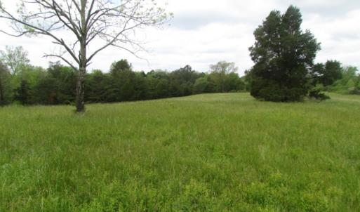 Photo of UNDER CONTRACT!  665 Acres of Hunting and Investment Land For Sale in Fluvanna County VA!
