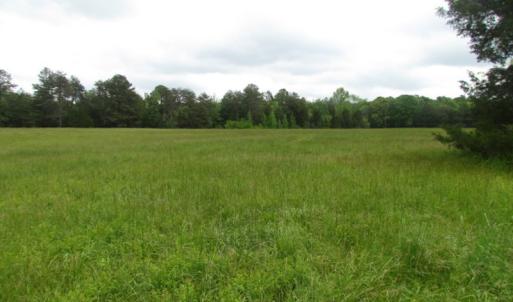 Photo of UNDER CONTRACT!  665 Acres of Hunting and Investment Land For Sale in Fluvanna County VA!
