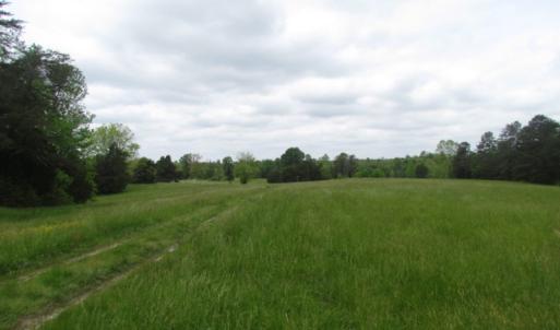Photo of UNDER CONTRACT!  665 Acres of Hunting and Investment Land For Sale in Fluvanna County VA!