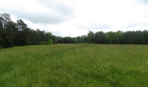 Photo of UNDER CONTRACT!  665 Acres of Hunting and Investment Land For Sale in Fluvanna County VA!