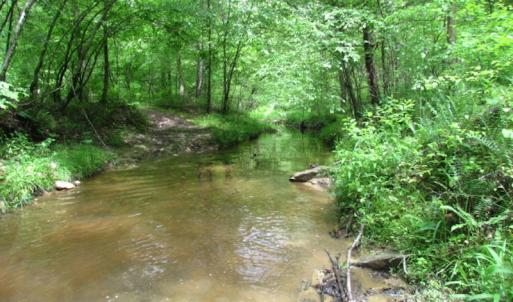 Photo of UNDER CONTRACT!  665 Acres of Hunting and Investment Land For Sale in Fluvanna County VA!