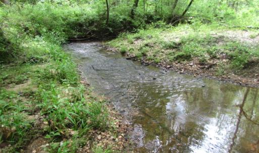 Photo of UNDER CONTRACT!  665 Acres of Hunting and Investment Land For Sale in Fluvanna County VA!