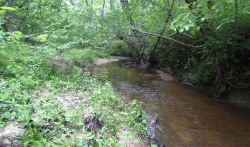 Photo of UNDER CONTRACT!  665 Acres of Hunting and Investment Land For Sale in Fluvanna County VA!