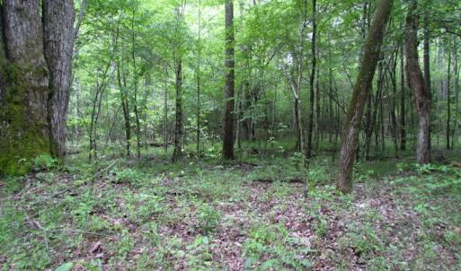 Photo of UNDER CONTRACT!  665 Acres of Hunting and Investment Land For Sale in Fluvanna County VA!