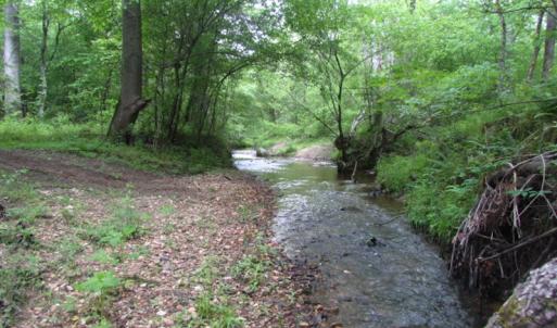 Photo of UNDER CONTRACT!  665 Acres of Hunting and Investment Land For Sale in Fluvanna County VA!