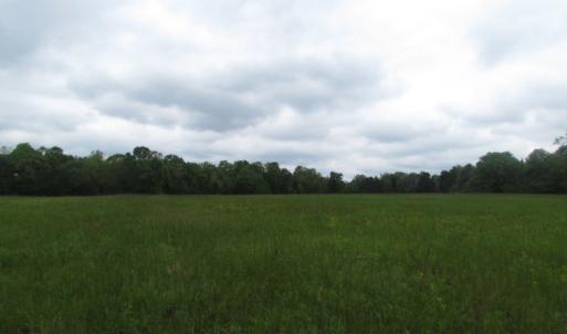 Photo of UNDER CONTRACT!  665 Acres of Hunting and Investment Land For Sale in Fluvanna County VA!