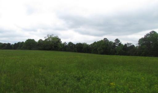 Photo of UNDER CONTRACT!  665 Acres of Hunting and Investment Land For Sale in Fluvanna County VA!