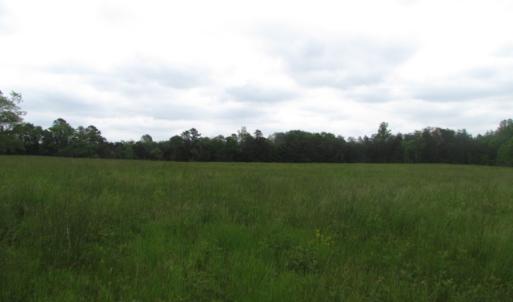 Photo of UNDER CONTRACT!  665 Acres of Hunting and Investment Land For Sale in Fluvanna County VA!