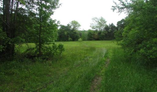 Photo of UNDER CONTRACT!  665 Acres of Hunting and Investment Land For Sale in Fluvanna County VA!