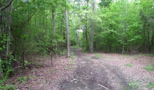 Photo of UNDER CONTRACT!  665 Acres of Hunting and Investment Land For Sale in Fluvanna County VA!