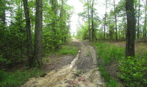 Photo of UNDER CONTRACT!  665 Acres of Hunting and Investment Land For Sale in Fluvanna County VA!