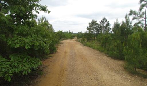 Photo of UNDER CONTRACT!  665 Acres of Hunting and Investment Land For Sale in Fluvanna County VA!