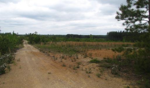 Photo of UNDER CONTRACT!  665 Acres of Hunting and Investment Land For Sale in Fluvanna County VA!