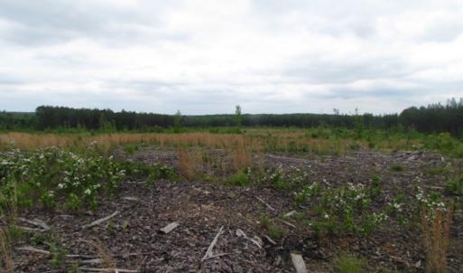Photo of UNDER CONTRACT!  665 Acres of Hunting and Investment Land For Sale in Fluvanna County VA!