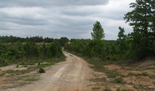 Photo of UNDER CONTRACT!  665 Acres of Hunting and Investment Land For Sale in Fluvanna County VA!