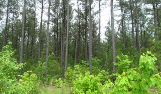 Photo of UNDER CONTRACT!  665 Acres of Hunting and Investment Land For Sale in Fluvanna County VA!