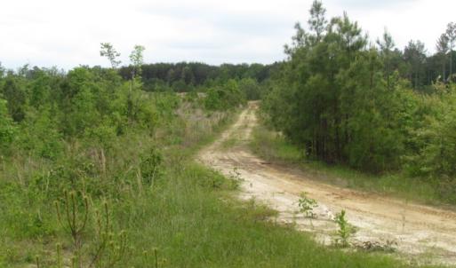 Photo of UNDER CONTRACT!  665 Acres of Hunting and Investment Land For Sale in Fluvanna County VA!