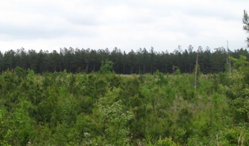 Photo of UNDER CONTRACT!  665 Acres of Hunting and Investment Land For Sale in Fluvanna County VA!