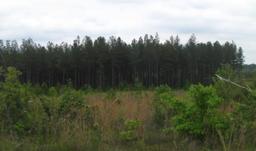 Photo of UNDER CONTRACT!  665 Acres of Hunting and Investment Land For Sale in Fluvanna County VA!